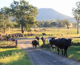 Tommerups Dairy Farmstay - Accommodation Broome 0