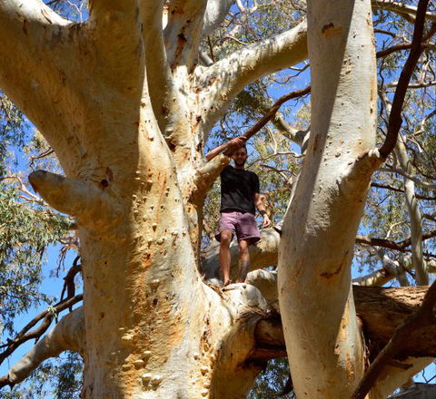 Eldee Station Accommodation, Caravan And Campsites - Accommodation Broome 5