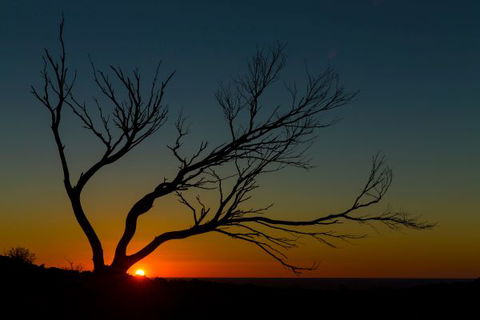 Eldee Station Accommodation, Caravan And Campsites - Accommodation Broome 10