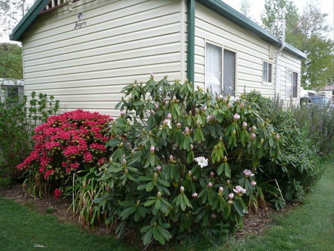 Jenolan Caravan Park - Accommodation Broome 0