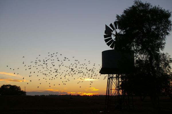 Tooraweenah NSW Accommodation Broome