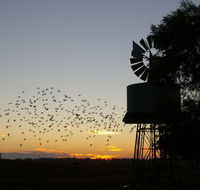 Nevertire Hotel - Accommodation Broome