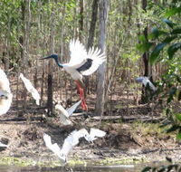 Rakhi Retreat - Accommodation Broome