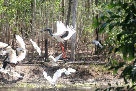 Rakhi Retreat - Accommodation Broome 0