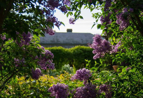Eurambeen Historic Homestead And Gardens - Accommodation Broome 1