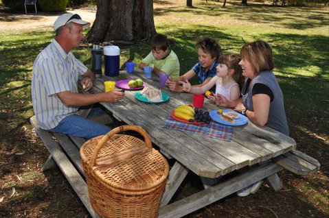 Naracoorte Caves Camping And Accomodation - Accommodation Broome 0