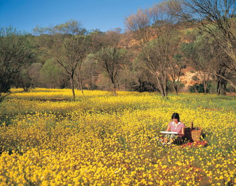 Miners Camp At Coalseam National Park - Accommodation Broome 0