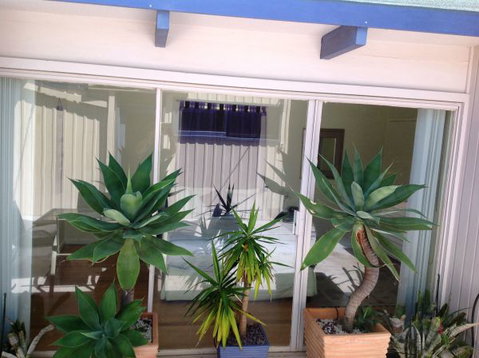 The Beach House - Accommodation Broome 8