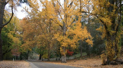 Wilderness Retreats Buchan Caves Reserve - Accommodation Broome 9