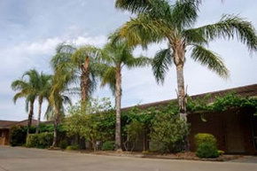 Darling Junction Motel - Accommodation Broome 2