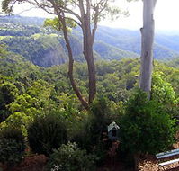 Mt Tamborine Motel - Accommodation Broome