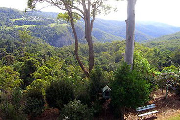 Mt Tamborine Motel - Accommodation Broome 0