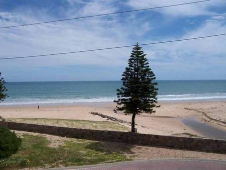 Christie's Seahorse - Accommodation Broome 1