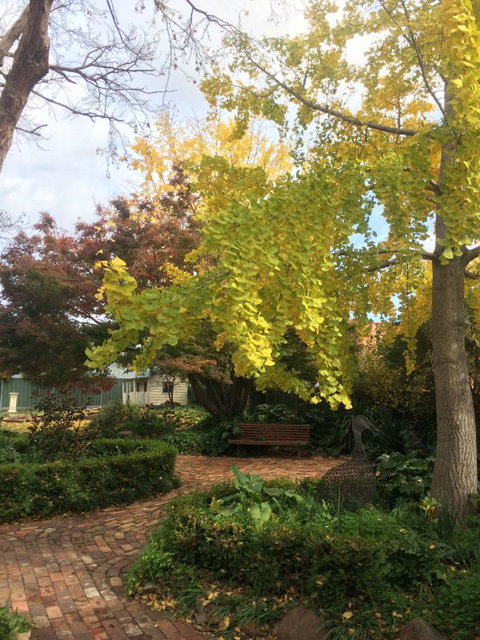 Cawarra On The Park - Accommodation Broome 5