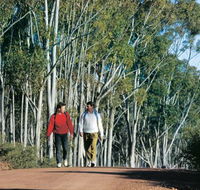 Congelin Camp at Dryandra Woodland - Accommodation Broome