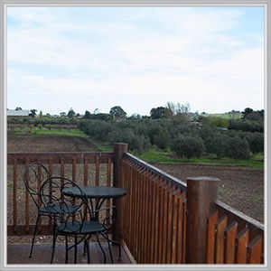 Wine Diva Tours - Accommodation Broome 4