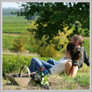Wine Diva Tours - Accommodation Broome 9