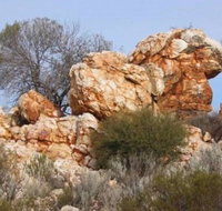 Credo Homestead Camp at Credo Conservation Park - Accommodation Broome