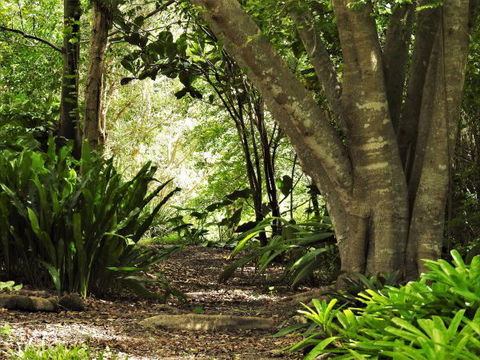 'The Dales' Boutique Bed And Breakfast - Accommodation Broome 7