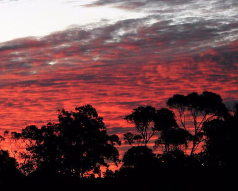 'The Dales' Boutique Bed And Breakfast - Accommodation Broome 8