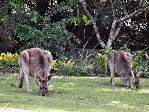 'The Dales' Boutique Bed And Breakfast - Accommodation Broome 9