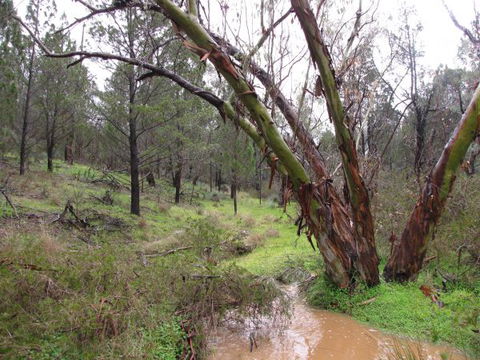 Beetaloo Grove - Accommodation Broome 2