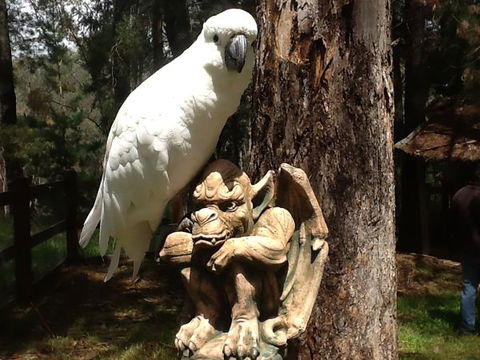 Beechworth Wildlife Stays - Accommodation Broome 9