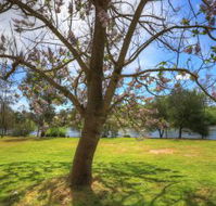 Breakaway Twin Rivers Caravan Park - Accommodation Broome