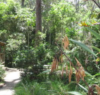 Dunns Creek Downs Nature Stay - Accommodation Broome
