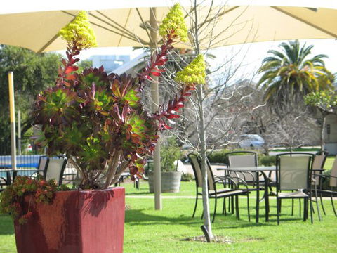 Golden Chain Wine Village Motor Inn - Accommodation Broome 3
