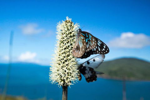 Keswick Island Camping And Glamping - Accommodation Broome 7