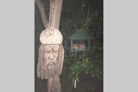 Kookaburra Retreat - Accommodation Broome 9