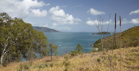 Molle Island National Park (Whitsundays National Park) Camping Ground - Accommodation Broome 1