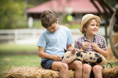 Paradise Country Farmstay - Accommodation Broome 8