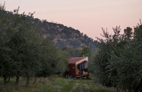 Shacky In The Olive Grove - Accommodation Broome 0