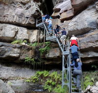 Takarakka Bush Resort Carnarvon Gorge - Accommodation Broome