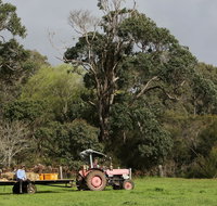 Boronia Farm - Accommodation Broome