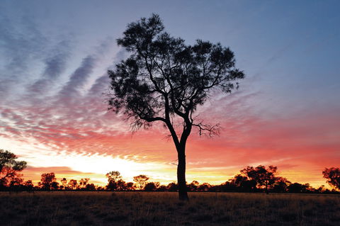 Cunnamulla Tourist Park - Accommodation Broome 3