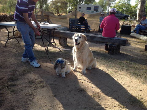 Cunnamulla Tourist Park - Accommodation Broome 4