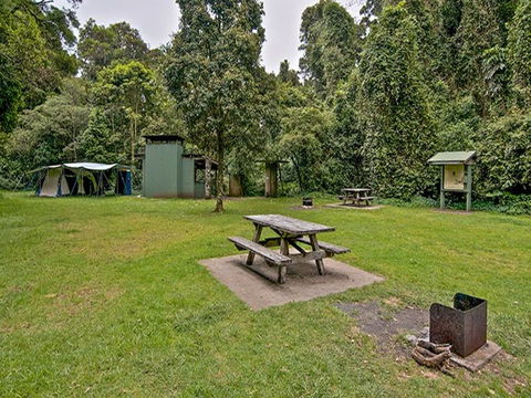 Forest Tops Campground - Accommodation Broome 0