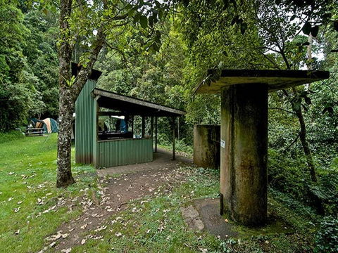Forest Tops Campground - Accommodation Broome 3