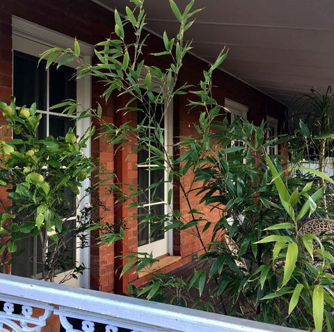 Heathcote Contemporary Art Boutique Accommodation - Accommodation Broome 6