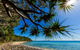 Noosa Caravan Park - thumb 2