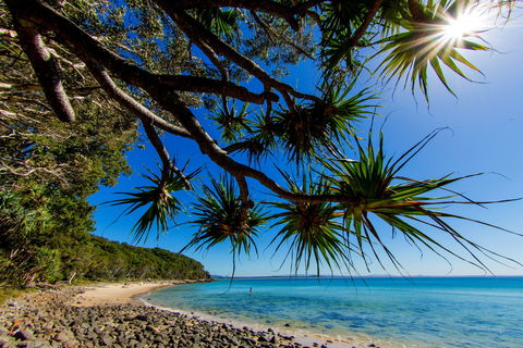 Noosa Caravan Park - Accommodation Broome 2