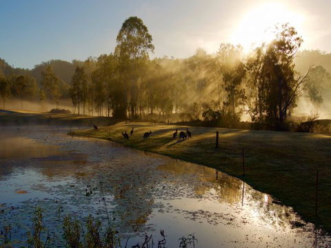 Ramada Resort Kooralbyn Valley - Accommodation Broome 6