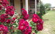 Savernake Farm Stay - thumb 5