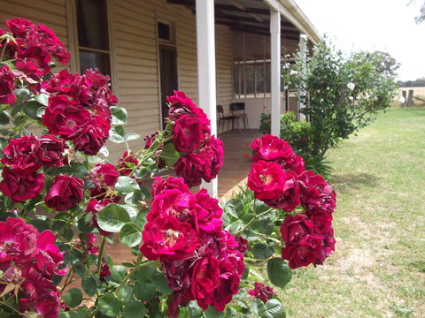 Savernake Farm Stay - Accommodation Broome 5