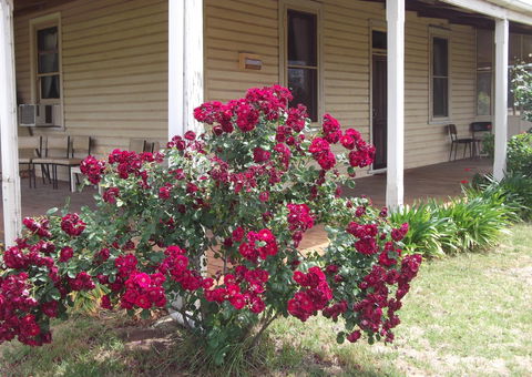 Savernake Farm Stay - Accommodation Broome 6