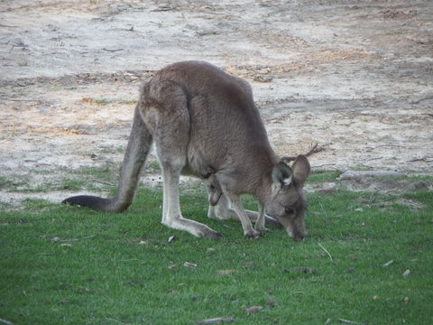 Secret Refuge At Portland Gate - Accommodation Broome 1