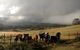 Silver Ridge Retreat - thumb 6